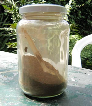 La poussière de rouille est conservée dans un pot avec couvercle. - 23.3 ko